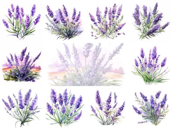Download Lavender Watercolor Flowers Clipart Set - Lavender watercolor Collection