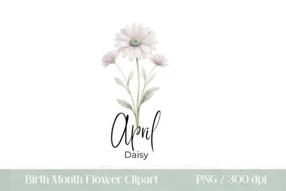 Download Birth Month Flower April Daisy PNG - Daisy png Collection