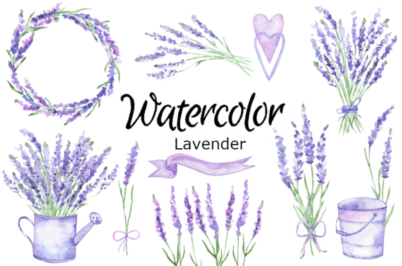 Download Lavender Watercolor Clip Art - Premium Resources