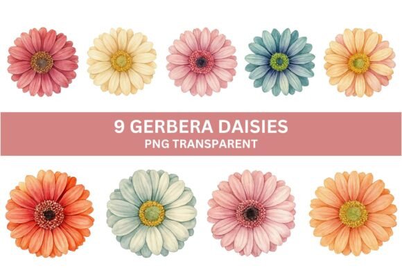 Download 9 Pastel Gerbera Daisy PNG Clipart Set - Daisy png Collection